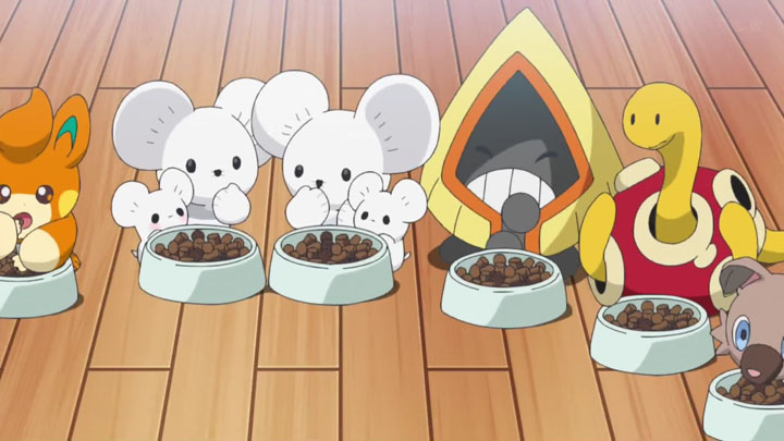 Épisode 43 - Pokémon : les horizons Épisode 43 - Pokémon : les horizons