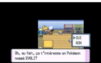 Évoli à Unionpolis Pokémon Diamant et Perle