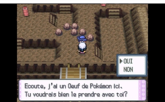 Riolu sur l'Île de Fer Pokémon Diamant et Perle