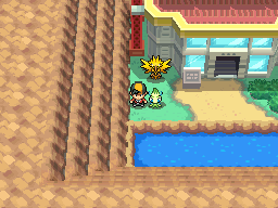 Électhor Pokémon Or HeartGold et Argent SoulSilver