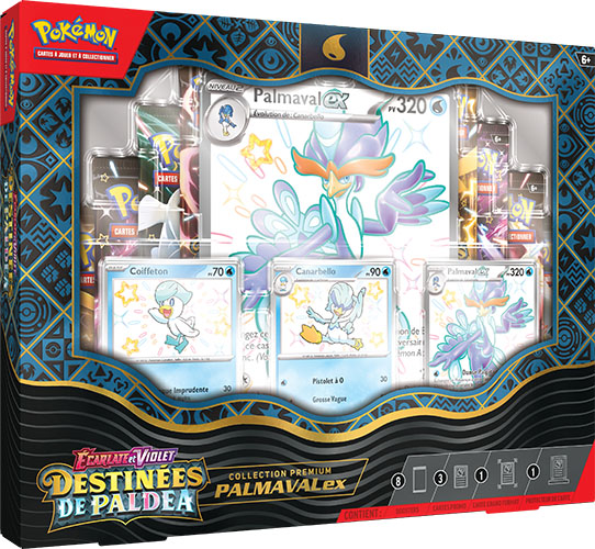 Carte Pokemon - Promos Soldes Hiver 2024