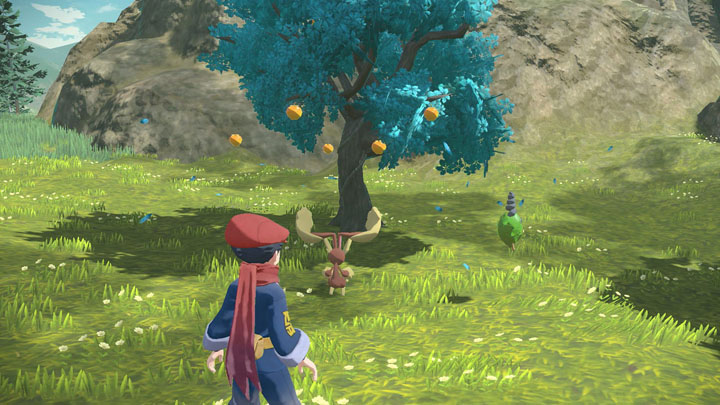 Environnement Légendes Pokémon Arceus Environnement Légendes Pokémon Arceus