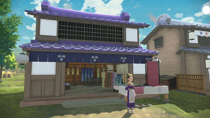 Maison du Textile et l'Art Capillaire Légendes Pokémon Arceus Maison du Textile et l'Art Capillaire Légendes Pokémon Arceus