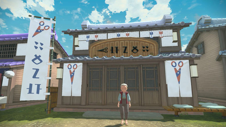 Maison de l'Art Capillaire Légendes Pokémon Arceus Maison de l'Art Capillaire Légendes Pokémon Arceus