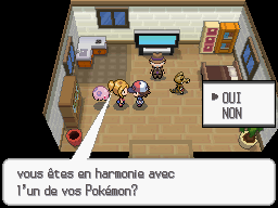 Juge du bonheur Pokémon Noir et Pokémon Blanc