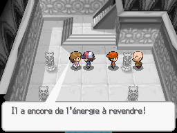 Juge des EV Pokémon Noir et Pokémon Blanc