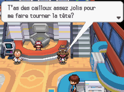 Flocombe Pokémon Noir 2 et Blanc 2