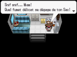 Route 5 Pokémon Noir 2 et Blanc 2