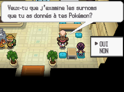 Spécialiste des Noms Pokémon Noir 2 et Blanc 2