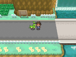 Capturer Viridium Pokémon Noir et Blanc