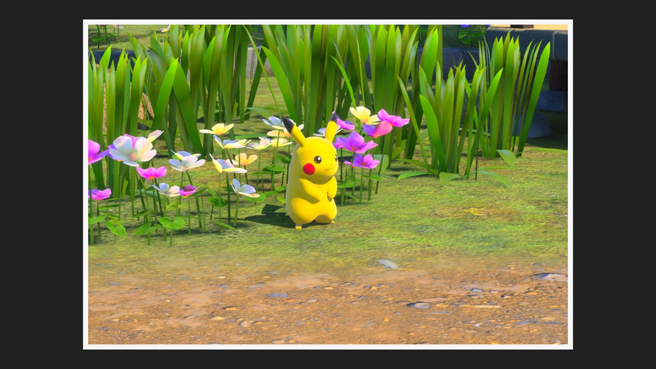 New Pokémon Snap - Base dans Pikachu