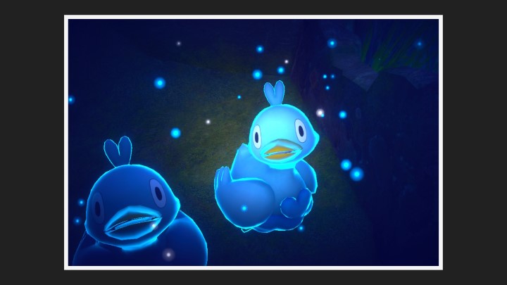 New Pokémon Snap - Chemin (nuit) dans Couaneton