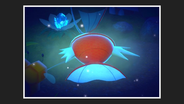 New Pokémon Snap - Chemin (nuit) dans Magicarpe