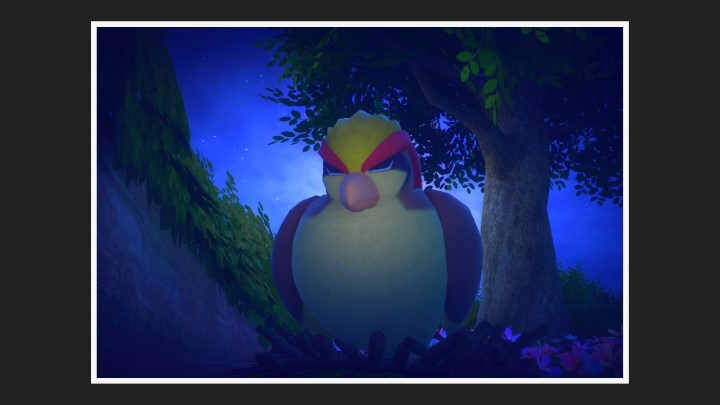 New Pokémon Snap - Roucarnage dans Chemin (nuit)