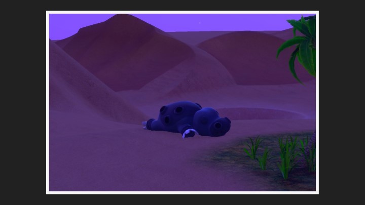 New Pokémon Snap - Hippodocus dans Désert (nuit)