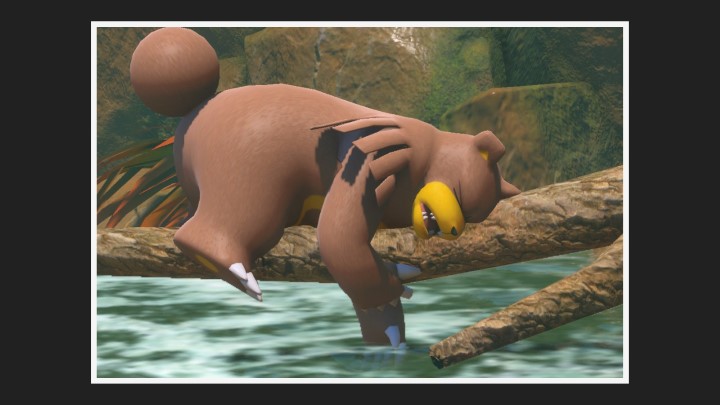 New Pokémon Snap - Ursaring dans Fleuve (jour)