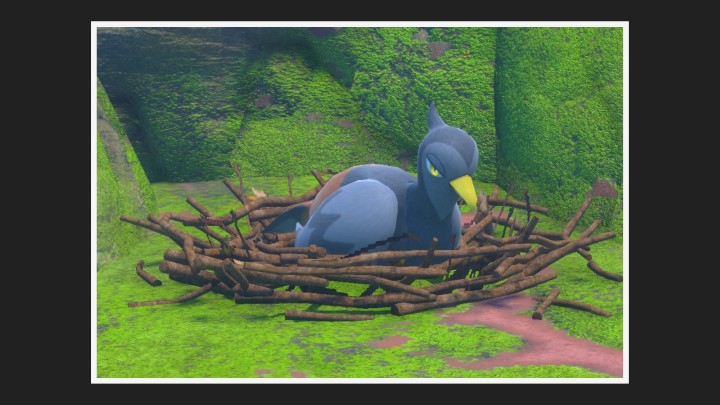 New Pokémon Snap - Forêt dans Déflaisan