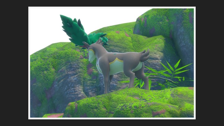 New Pokémon Snap - Haydaim dans Forêt