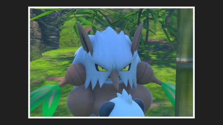 New Pokémon Snap - Tengalice dans Forêt