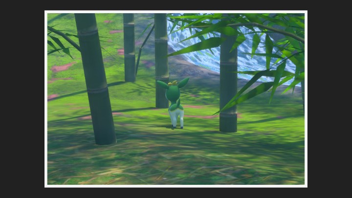 New Pokémon Snap - Forêt dans Vivaldaim