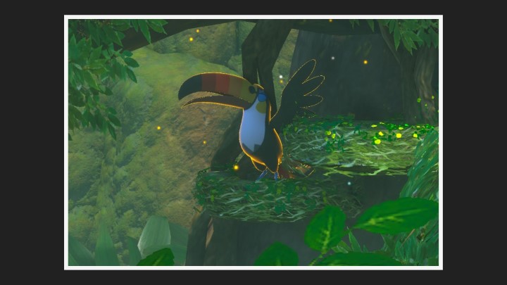 New Pokémon Snap - Bazoucan dans Jungle (jour)