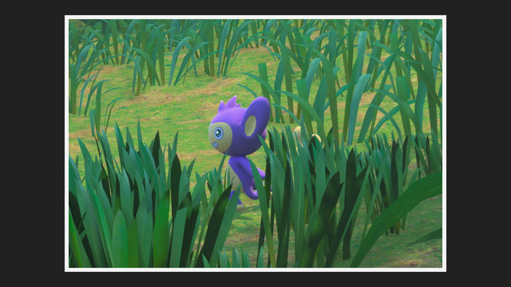 New Pokémon Snap - Capumain dans Jungle (jour)