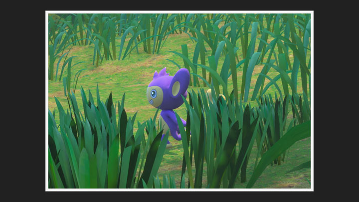 New Pokémon Snap - Jungle (jour) dans Capumain