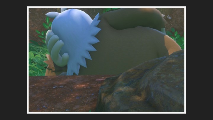 New Pokémon Snap - Jungle (jour) dans Monaflèmit