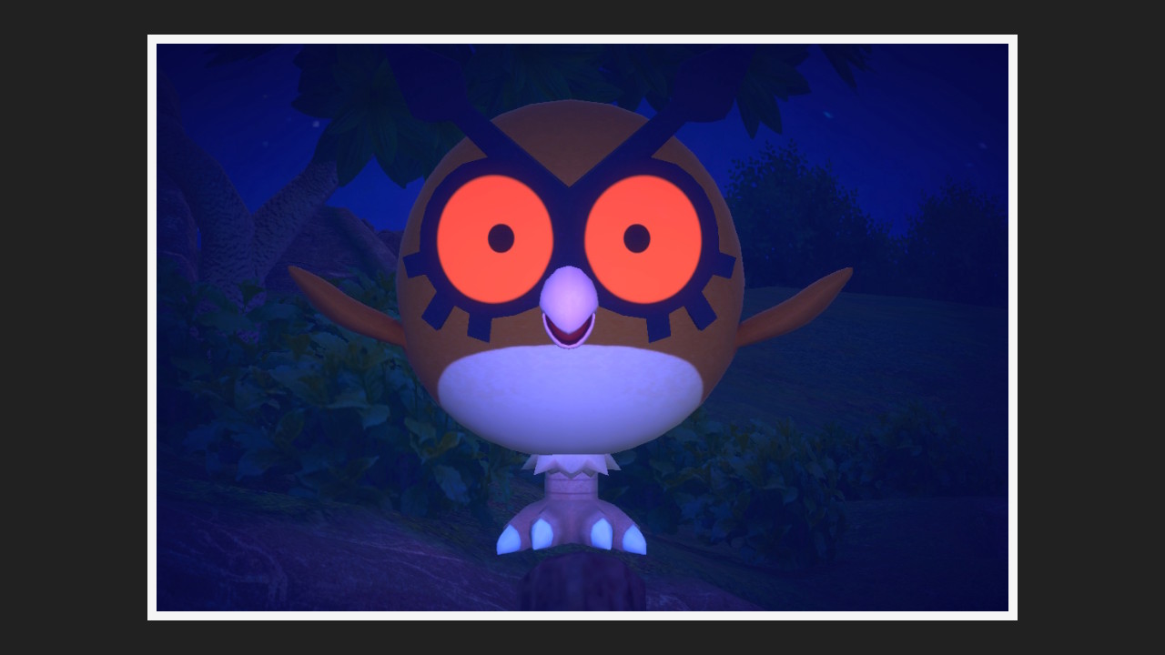 New Pokémon Snap - Hoothoot dans Parc (nuit)