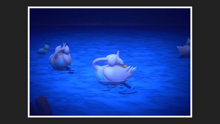 New Pokémon Snap - Lakmécygne dans Parc (nuit)