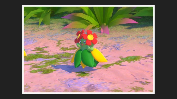 New Pokémon Snap - Joliflor dans Plage (jour)