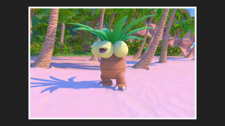 New Pokémon Snap - Plage (jour) dans Noadkoko