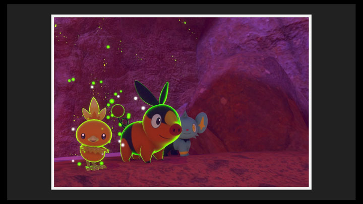 New Pokémon Snap - Terres Désolées (nuit) dans Lixy