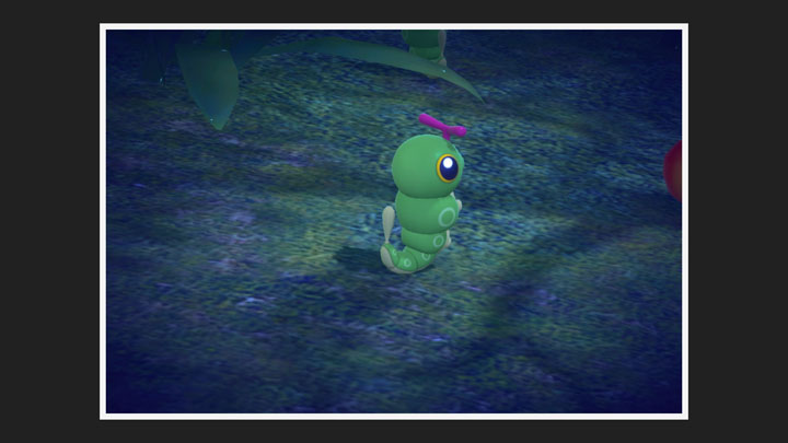 New Pokémon Snap - Chenipan - Photo 1 étoile