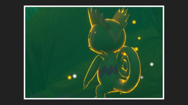 New Pokémon Snap - Kecleon - Photo 1 étoile