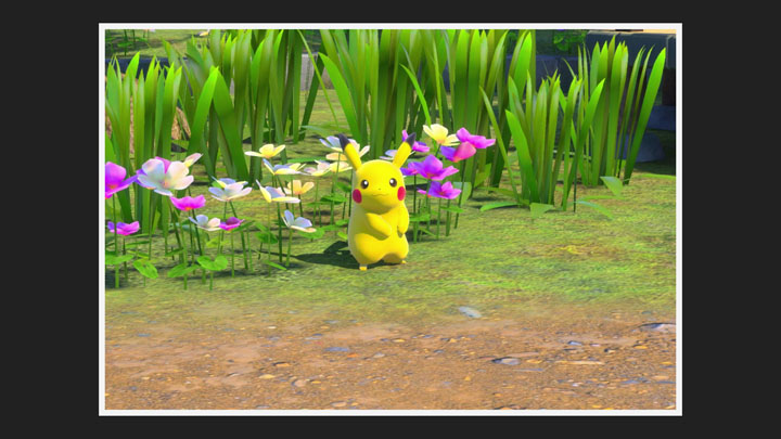 New Pokémon Snap - Pikachu - Photo 1 étoile