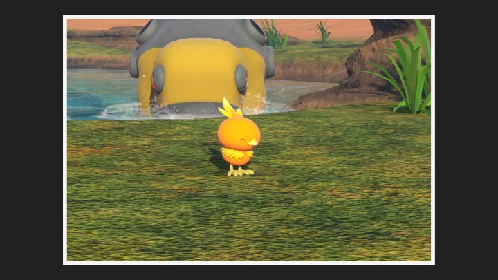 New Pokémon Snap - Poussifeu - Photo 2 étoiles