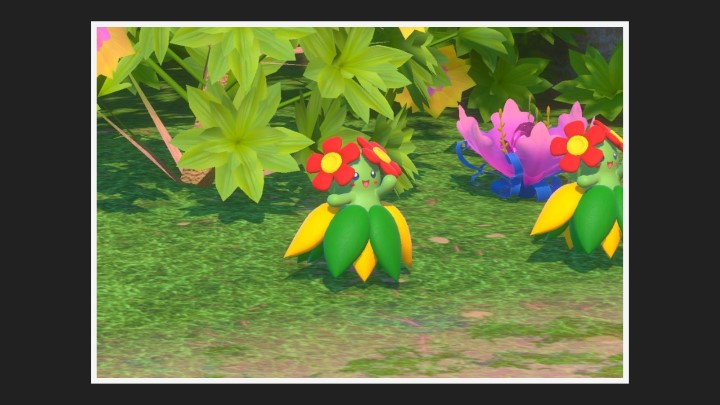 New Pokémon Snap - Joliflor - Photo 3 étoiles