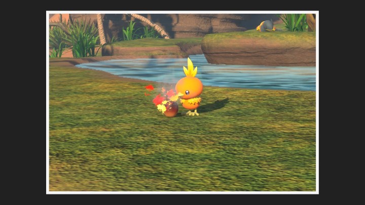 New Pokémon Snap - Poussifeu - Photo 3 étoiles