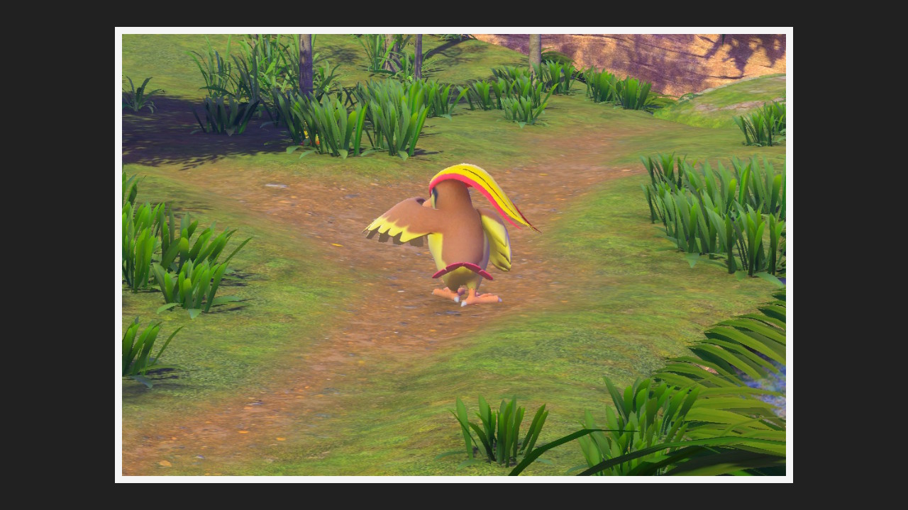 New Pokémon Snap - Roucarnage - Photo 3 étoiles