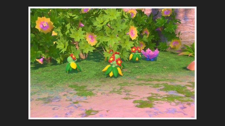 New Pokémon Snap - Joliflor - Photo 4 étoiles