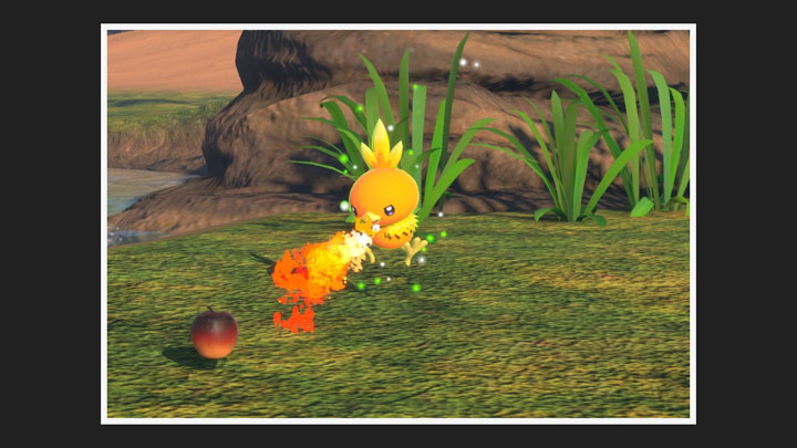 New Pokémon Snap - Poussifeu - Photo 4 étoiles