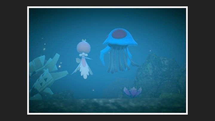 New Pokémon Snap - Tentacruel - Photo 4 étoiles