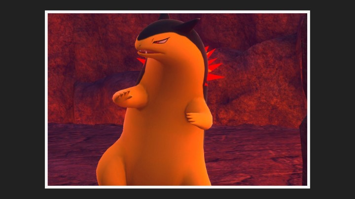 New Pokémon Snap - Typhlosion - Photo 4 étoiles