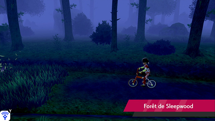 Forêt de Sleepwood Pokémon Épée et Bouclier