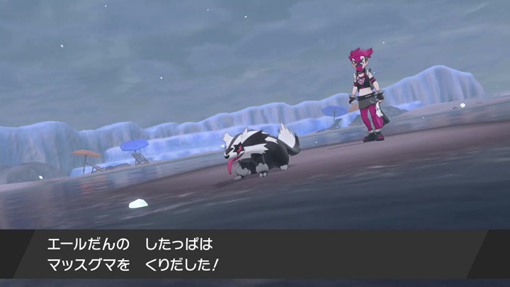 Screenshot Pokémon Épée et Bouclier