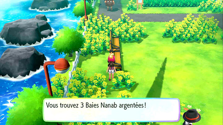 Baies sur la Route 17 - Pokémon Let's Go Pikachu et Évoli