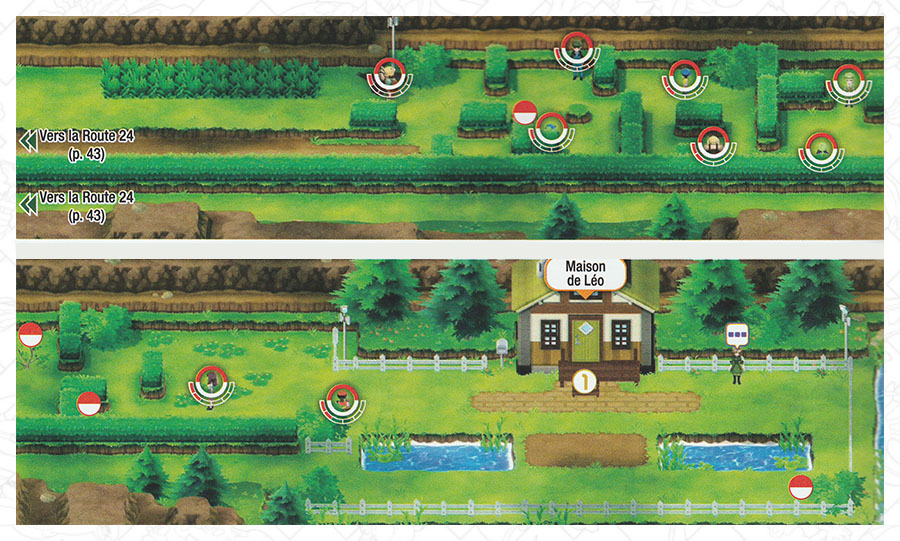 Route 25 Pokémon Let's Go Pikachu et Let's Go Évoli