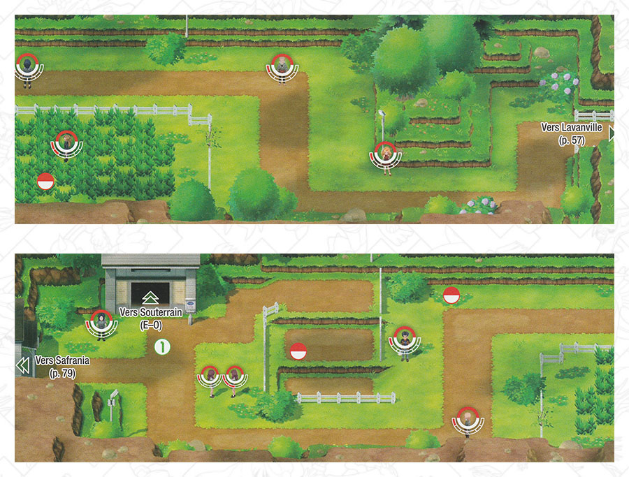 Route 8 Pokémon Let's Go Pikachu et Let's Go Évoli