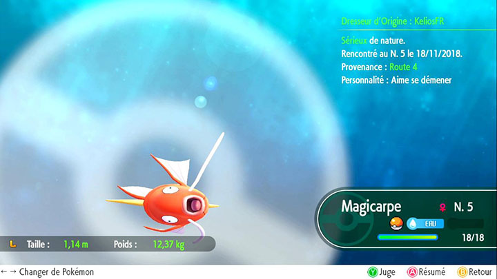 Magicarpe - Pokémon offert Route 4 - Pokémon Let's Go Pikachu et Pokémon Let's Go Évoli